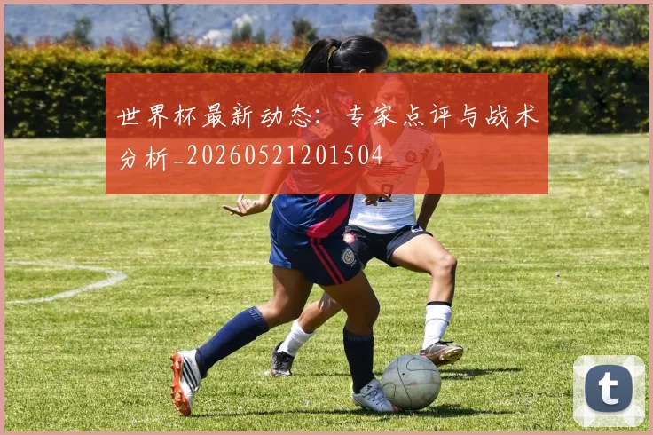 世界杯最新动态：专家点评与战术分析_20260521201504