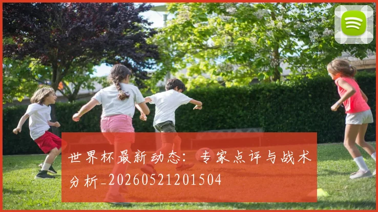 世界杯最新动态:专家点评与战术分析_20260521201504